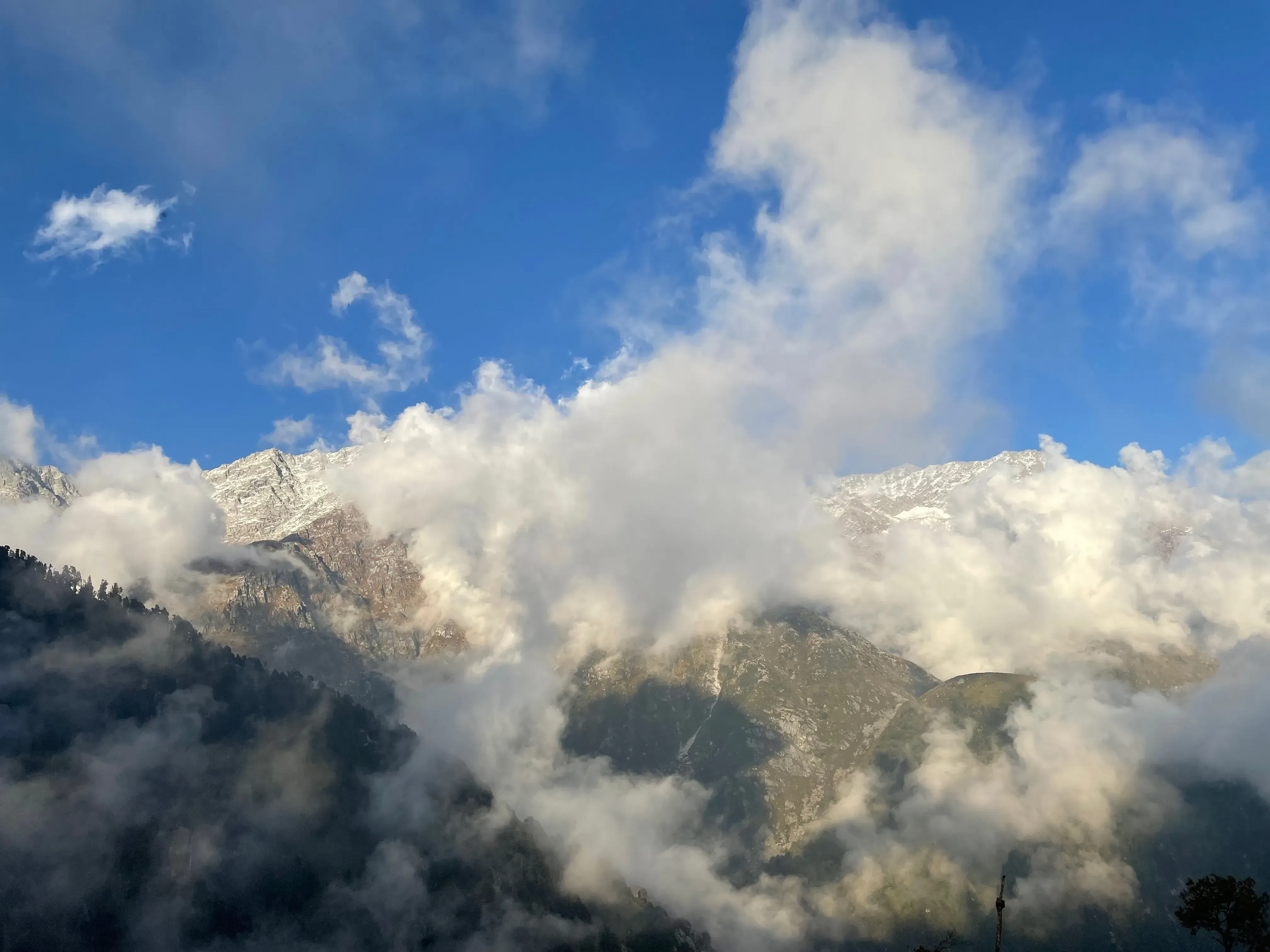 A mountain prayer — snow-capped peaks at Triund